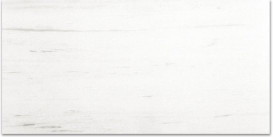 Polished Devotion 12X24 | Diversity Kitchen Bath & Tile