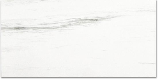 Polished Devotion 12X24 | Diversity Kitchen Bath & Tile