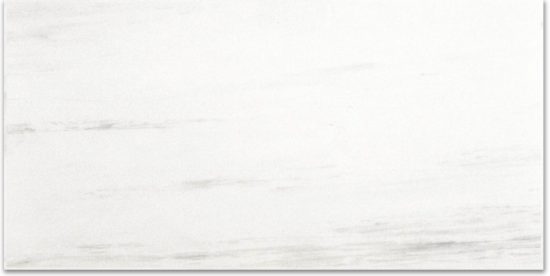 Polished Devotion 12X24 | Diversity Kitchen Bath & Tile