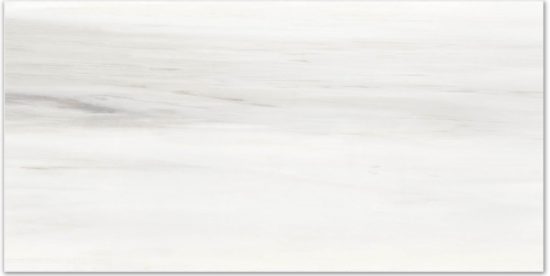 Polished Devotion 16X32 | Diversity Kitchen Bath & Tile