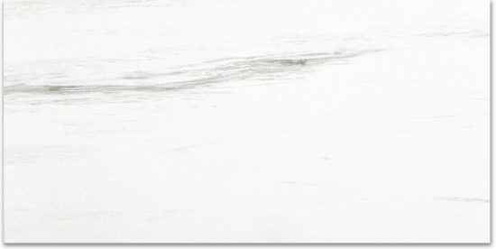 Polished Devotion 24X48 | Diversity Kitchen Bath & Tile