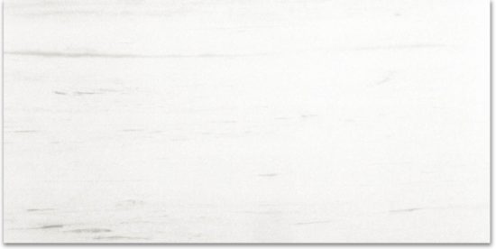 Polished Devotion 24X48 | Diversity Kitchen Bath & Tile