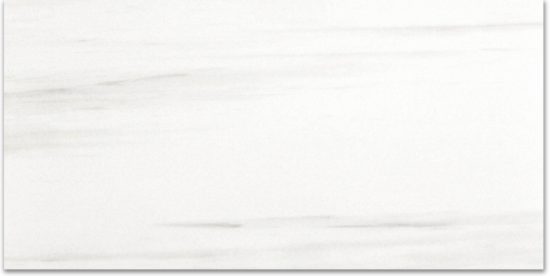 Polished Devotion 24X48 | Diversity Kitchen Bath & Tile