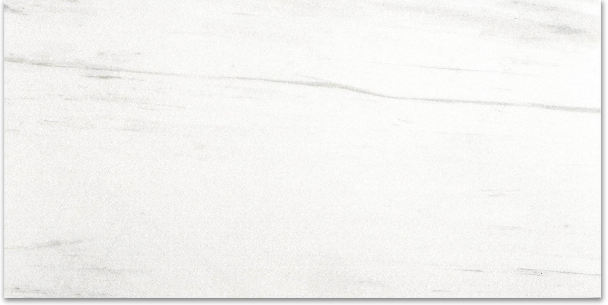 Polished Devotion 24X48 | Diversity Kitchen Bath & Tile