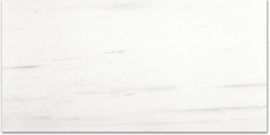 Polished Devotion 24X48 | Diversity Kitchen Bath & Tile