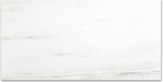 Polished Devotion 24X48 | Diversity Kitchen Bath & Tile