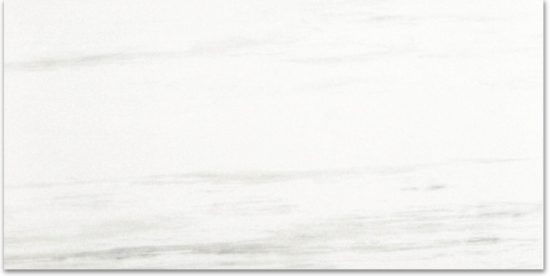 Polished Devotion 24X48 | Diversity Kitchen Bath & Tile