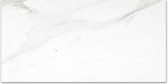 Polished Infatuation 12X24 | Diversity Kitchen Bath & Tile