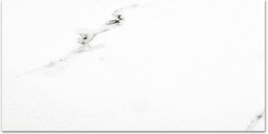 Polished Infatuation 16X32 | Diversity Kitchen Bath & Tile