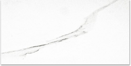 Polished Infatuation 16X32 | Diversity Kitchen Bath & Tile