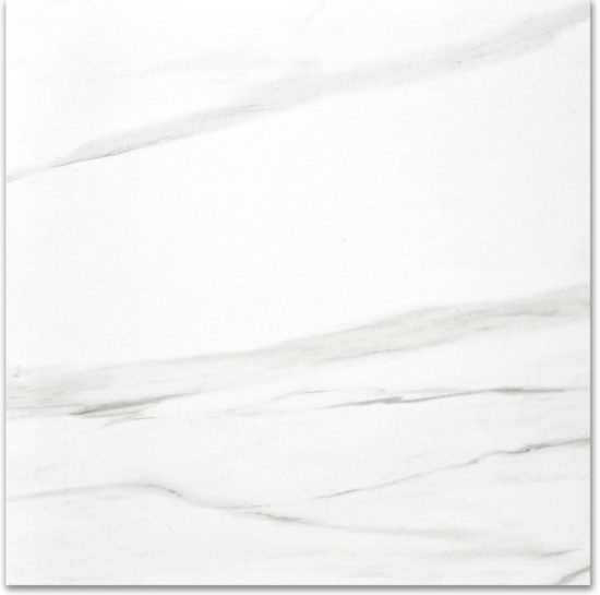 Polished Infatuation 24X24 | Diversity Kitchen Bath & Tile