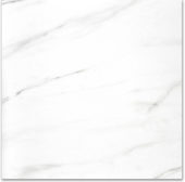 Polished Infatuation 24X24 | Diversity Kitchen Bath & Tile