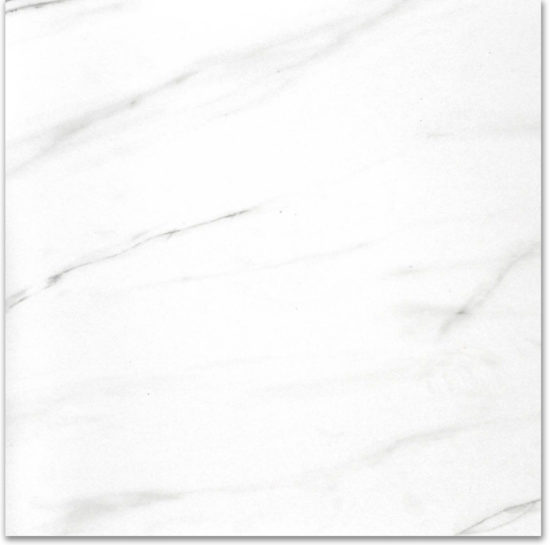 Polished Infatuation 24X24 | Diversity Kitchen Bath & Tile