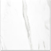 Polished Infatuation 24X24 | Diversity Kitchen Bath & Tile