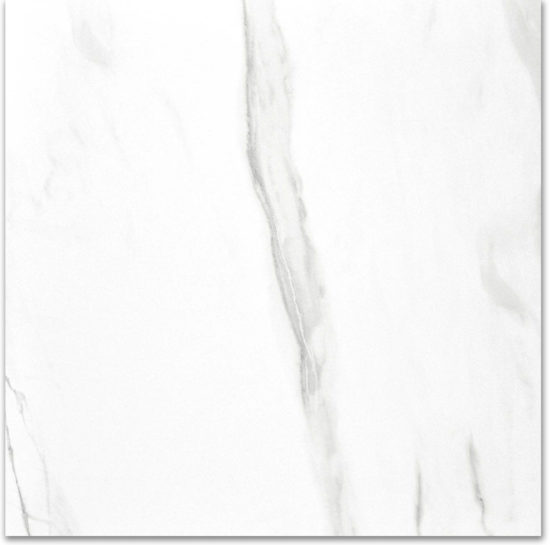 Polished Infatuation 24X24 | Diversity Kitchen Bath & Tile