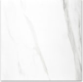 Polished Infatuation 24X24 | Diversity Kitchen Bath & Tile