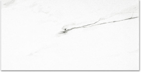 Polished Infatuation 24X48 | Diversity Kitchen Bath & Tile