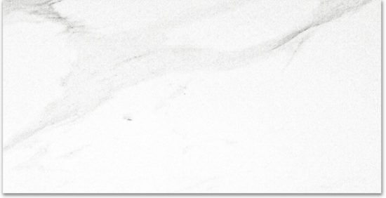 Polished Infatuation 24X48 | Diversity Kitchen Bath & Tile