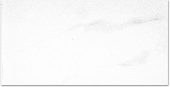 Polished Infatuation 24X48 | Diversity Kitchen Bath & Tile