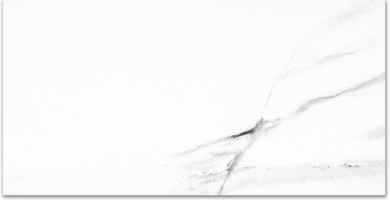 Polished Infatuation 24X48 | Diversity Kitchen Bath & Tile