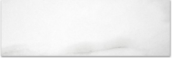 Polished Infatuation 4X12 | Diversity Kitchen Bath & Tile