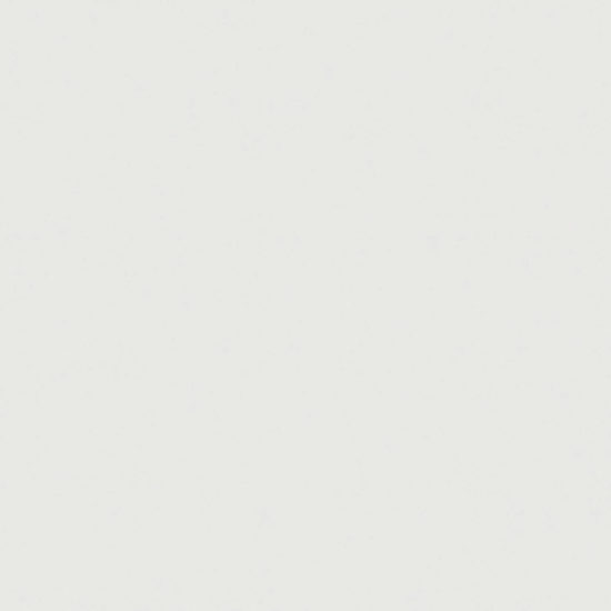 Polished Lisbon 24X24 | Diversity Kitchen Bath & Tile