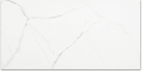 Polished Love 12X24 | Diversity Kitchen Bath & Tile