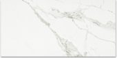 Polished Love 16X32 | Diversity Kitchen Bath & Tile