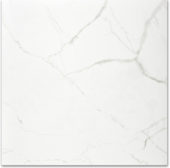 Polished Love 24X24 | Diversity Kitchen Bath & Tile
