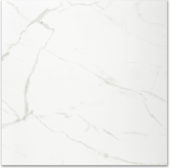 Polished Love 24X24 | Diversity Kitchen Bath & Tile