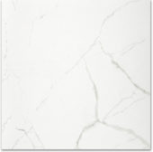 Polished Love 24X24 | Diversity Kitchen Bath & Tile