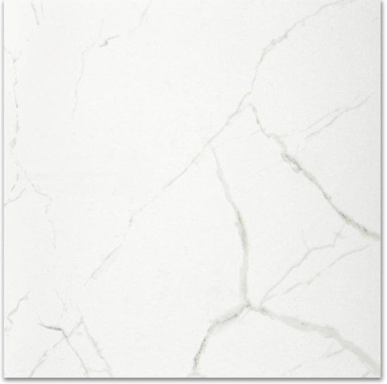 Polished Love 24X24 | Diversity Kitchen Bath & Tile