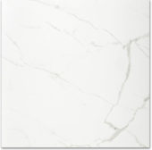 Polished Love 24X24 | Diversity Kitchen Bath & Tile