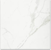 Polished Love 24X24 | Diversity Kitchen Bath & Tile