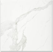 Polished Love 24X24 | Diversity Kitchen Bath & Tile