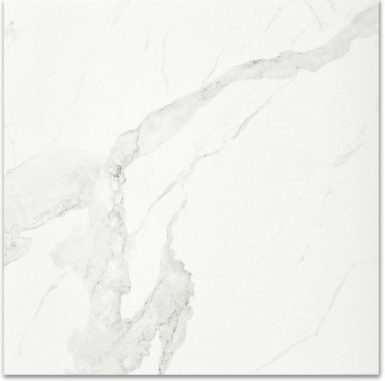 Polished Love 24X24 | Diversity Kitchen Bath & Tile