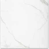 Polished Love 24X24 | Diversity Kitchen Bath & Tile