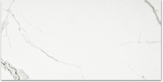 Polished Love 24X48 | Diversity Kitchen Bath & Tile