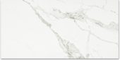Polished Love 24X48 | Diversity Kitchen Bath & Tile