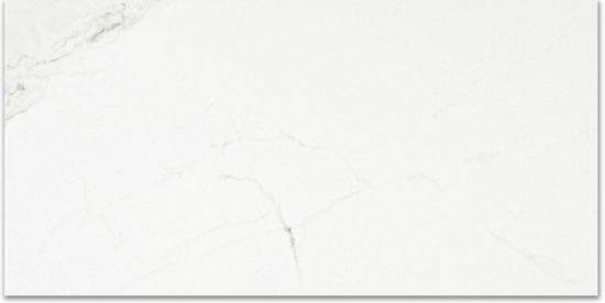 Polished Love 24X48 | Diversity Kitchen Bath & Tile