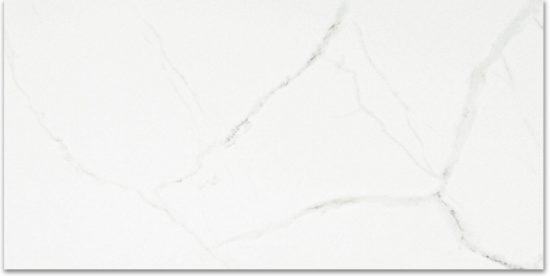 Polished Love 24X48 | Diversity Kitchen Bath & Tile