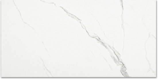 Polished Love 24X48 | Diversity Kitchen Bath & Tile