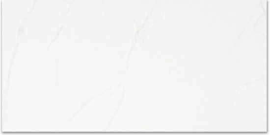 Polished Love 24X48 | Diversity Kitchen Bath & Tile