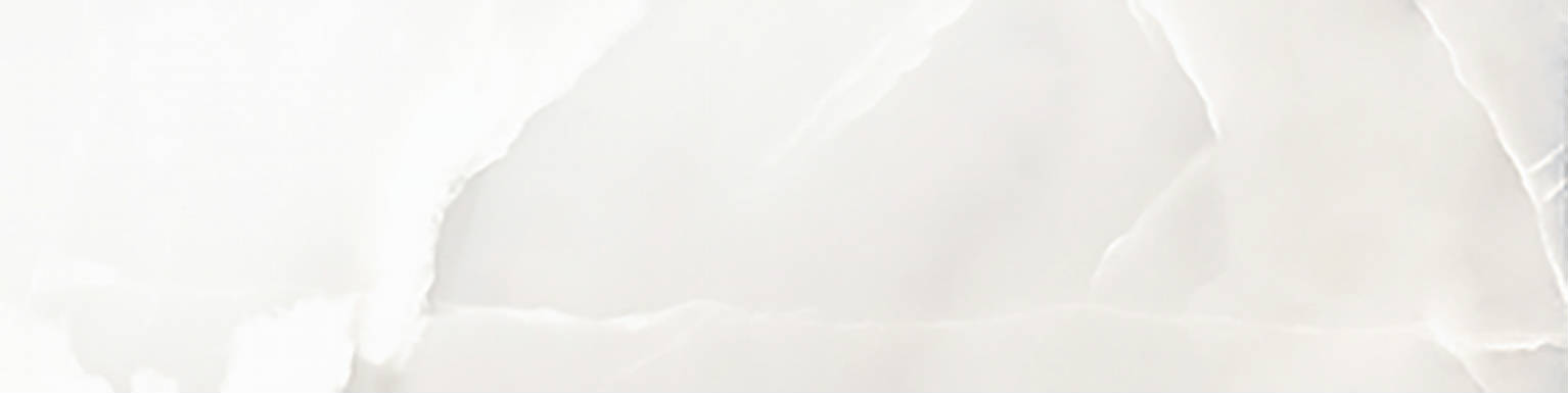 Rendezvous White Polished 3x12 | Diversity Kitchen Bath & Tile