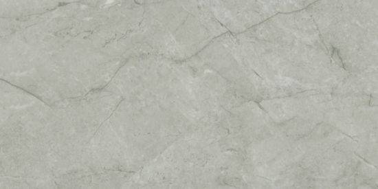 Roma Argento Honed 12X24 | Diversity Kitchen Bath & Tile
