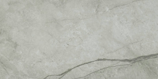 Roma Argento Honed 12X24 | Diversity Kitchen Bath & Tile