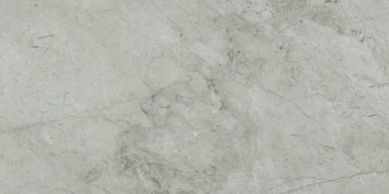 Roma Argento Honed 12X24 | Diversity Kitchen Bath & Tile