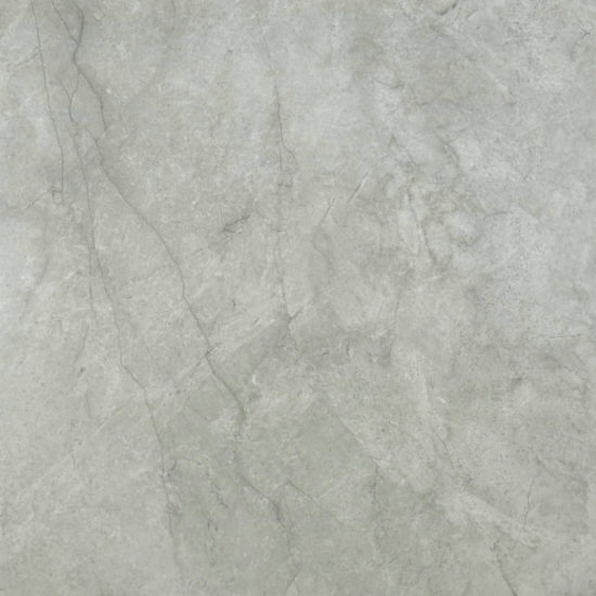 Roma Argento Honed 24X24 | Diversity Kitchen Bath & Tile