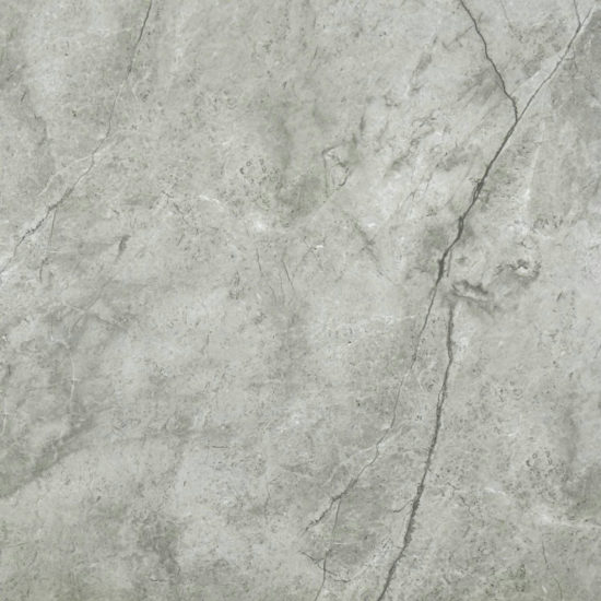 Roma Argento Honed 24X24 | Diversity Kitchen Bath & Tile
