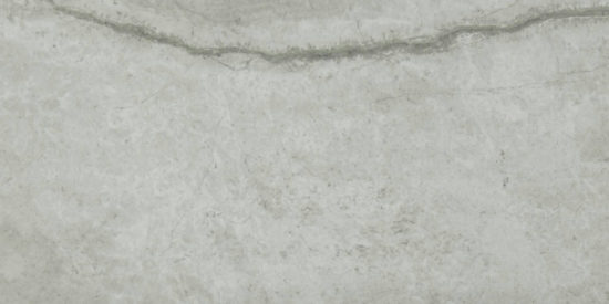 Roma Argento Honed 24X48 | Diversity Kitchen Bath & Tile
